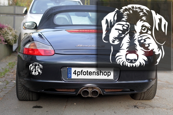 Autoaufkleber "Dackel (Rauhaar)" Kopf