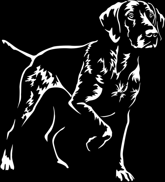 Aufkleber Deutsch Kurzhaar