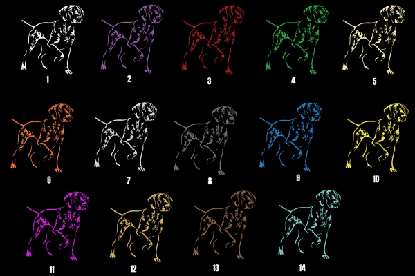 Autoaufkleber "Deutsch Kurzhaar" Kontur