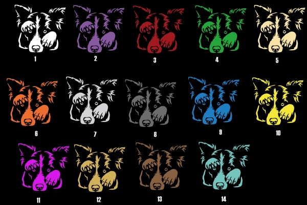 Autoaufkleber "Border Collie" Kontur