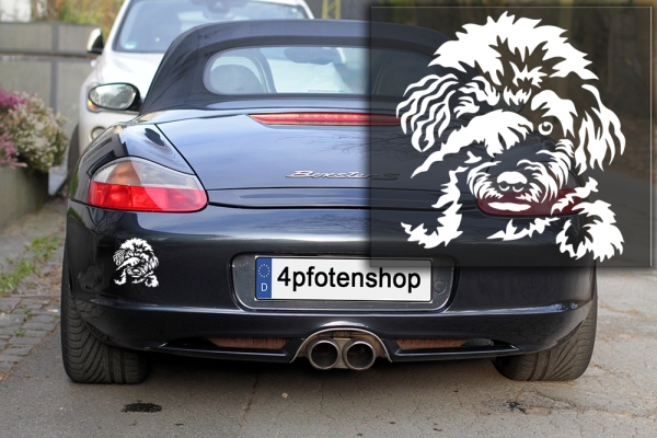 Autoaufkleber "Bologneser" Kontur