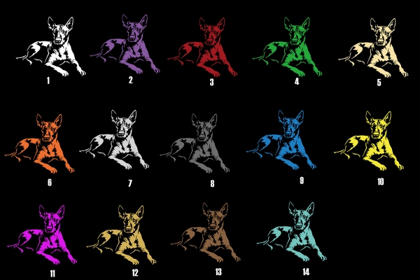 Autoaufkleber "Xoloitzcuintle" Kontur