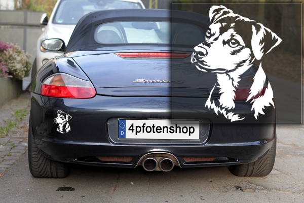Autoaufkleber "Brasilianischer Terrier" Kopf
