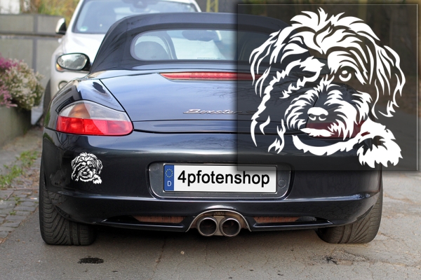 Autoaufkleber "Havaneser" Kopf