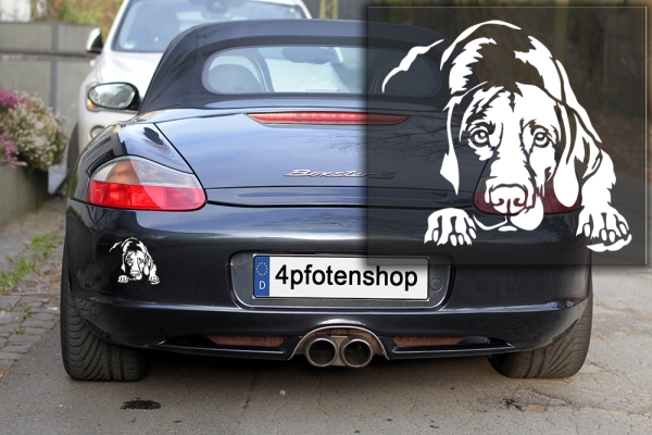 Autoaufkleber "Magyar Vizsla" Kontur