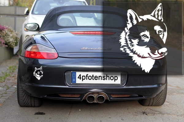 Autoaufkleber "Shikoku" Kopf