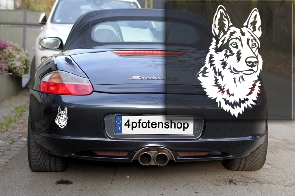 Autoaufkleber "Tschechischer Wolfhund" Kopf