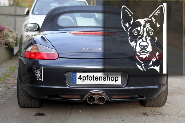 Autoaufkleber "Australian Cattle Dog" Kopf