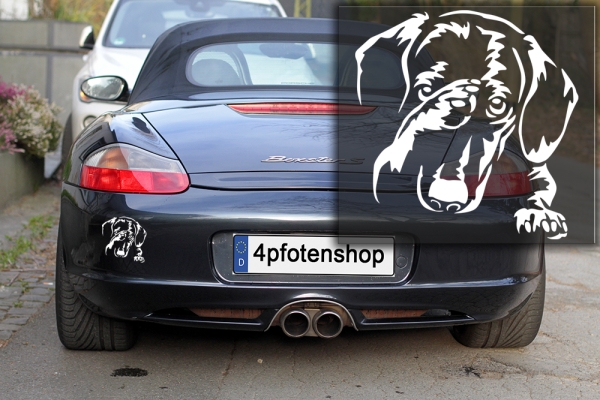 Autoaufkleber "Dackel (Kurzhaar)" Kopf