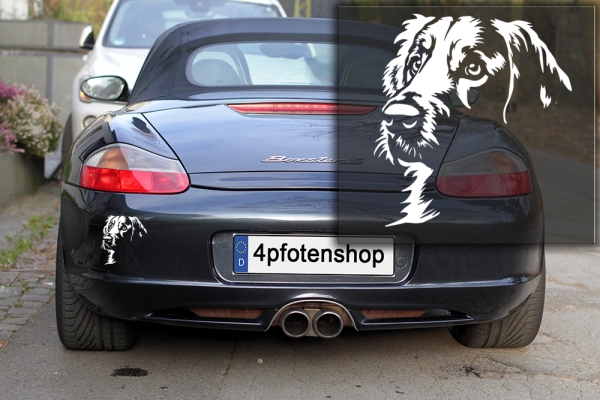 Autoaufkleber "Golden Retriever" Kopf
