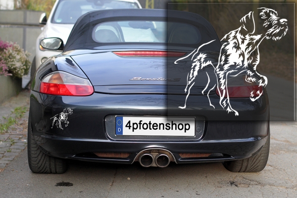 Autoaufkleber "Deutsch Drahthaar" Kontur