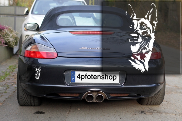Autoaufkleber "Malinois" Kopf