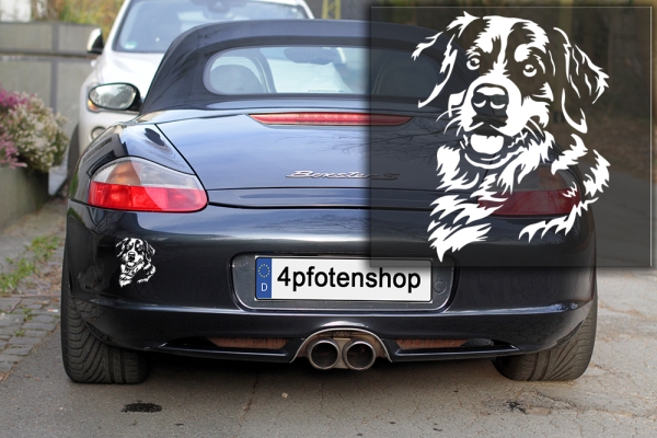 Autoaufkleber "Berner Sennenhund" Kopf