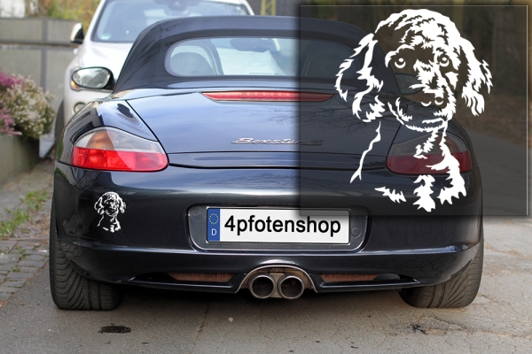 Autoaufkleber "Pudel (Kleinpudel)" Kopf