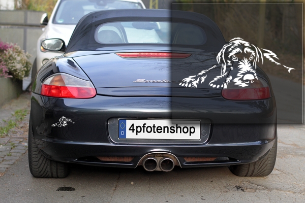 Autoaufkleber "Deutsch Drahthaar" Kontur