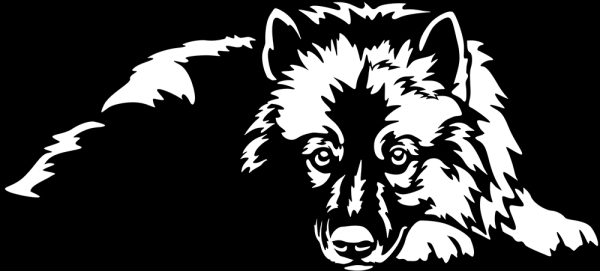 Aufkleber Wolfsspitz