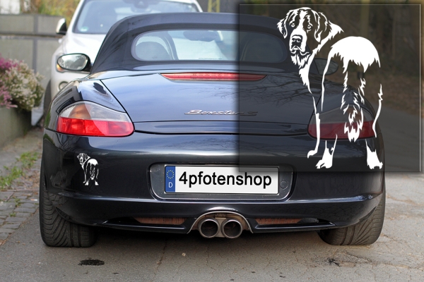 Autoaufkleber "Landseer" Kontur