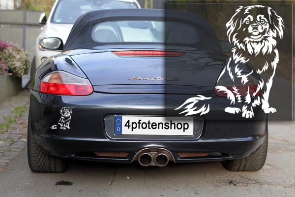 Autoaufkleber "Tibet Spaniel" Kontur