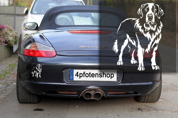 Autoaufkleber "Landseer" Kontur