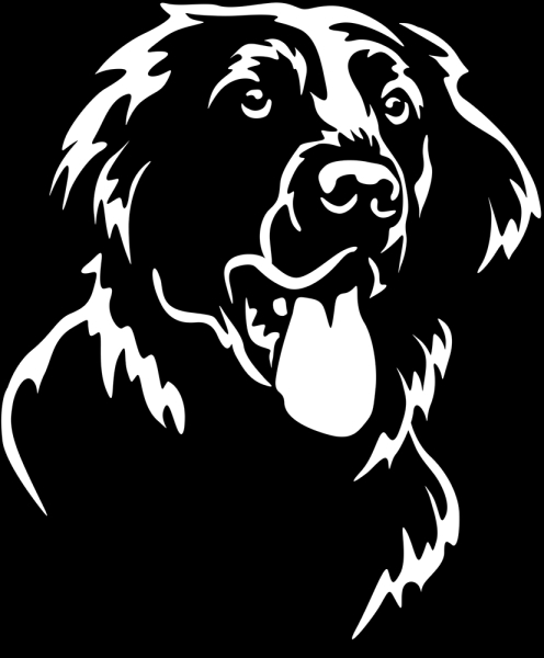 Aufkleber Flat-coated Retriever