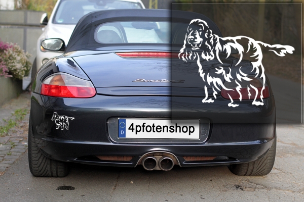 Autoaufkleber "Englischer Cocker Spaniel" Kontur