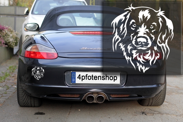 Autoaufkleber "Kooikerhondje" Kopf