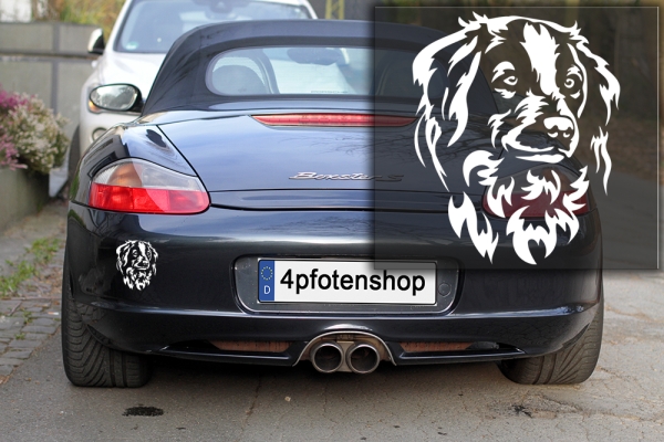 Autoaufkleber "Kooikerhondje" Kopf