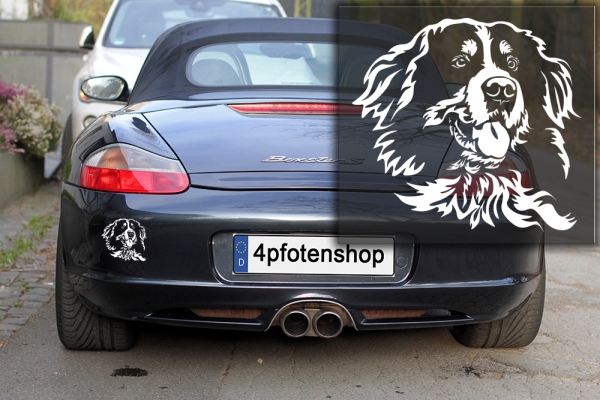 Autoaufkleber "Berner Sennenhund" Kopf