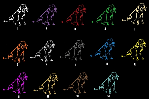 Autoaufkleber "Entlebucher Sennenhund" Kontur