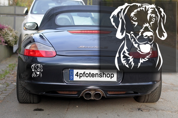 Autoaufkleber "Weimaraner" Kopf