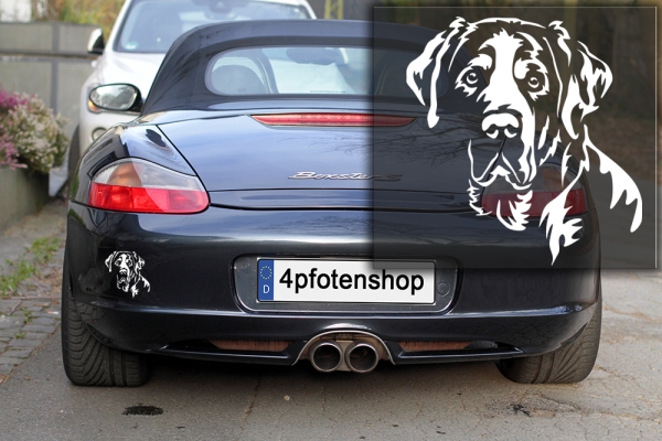 Autoaufkleber "Großer Schweizer Sennenhund" Kopf