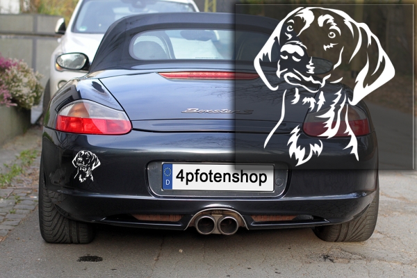 Autoaufkleber "Magyar Vizsla" Kopf