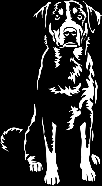 Aufkleber Appenzeller Sennenhund