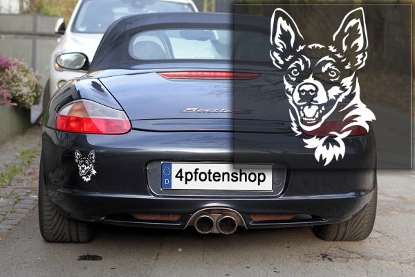 Autoaufkleber "Norwegischer Lundehund" Kopf