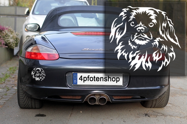 Autoaufkleber "Tibetspaniel" Kopf