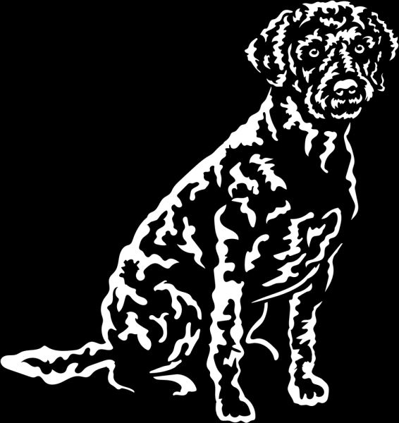 Aufkleber Lagotto Romagnolo