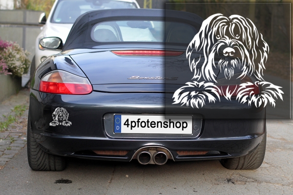 Autoaufkleber "Briard" Kopf