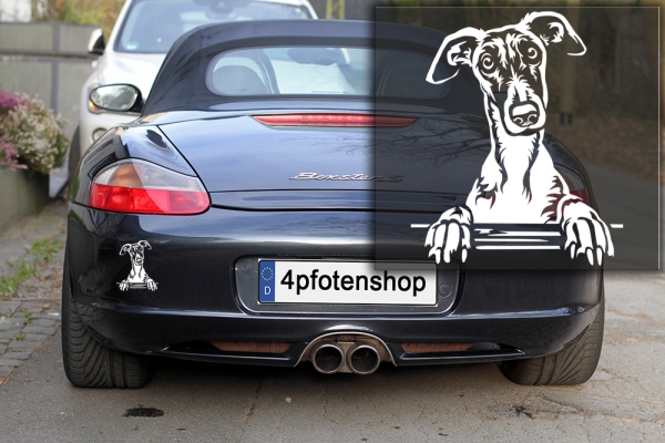 Autoaufkleber "Galgo" Kopf