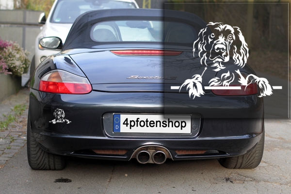 Autoaufkleber "Englischer Springer Spaniel" Kopf