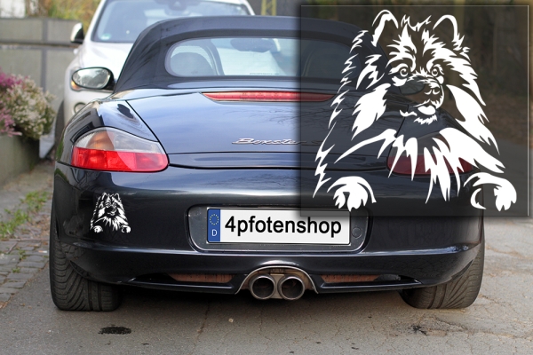 Autoaufkleber "Wolfsspitz" Kopf