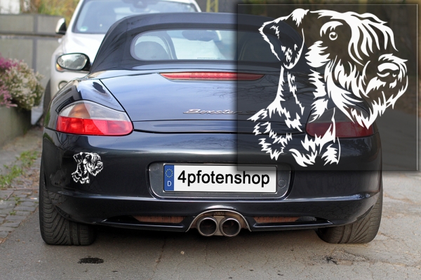 Autoaufkleber "Cesky Terrier" Kopf