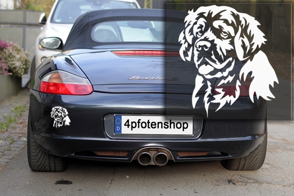 Autoaufkleber "Clumber Spaniel" Kopf