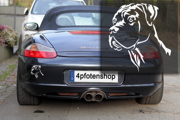 Autoaufkleber "Dogo Argentino" Kopf