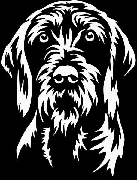 Aufkleber Pudelpointer Kopf