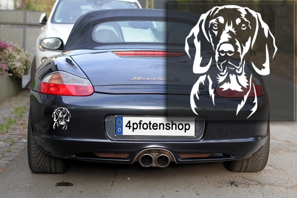 Autoaufkleber "Polnischer Laufhund (Gonczy Polski)" Kopf