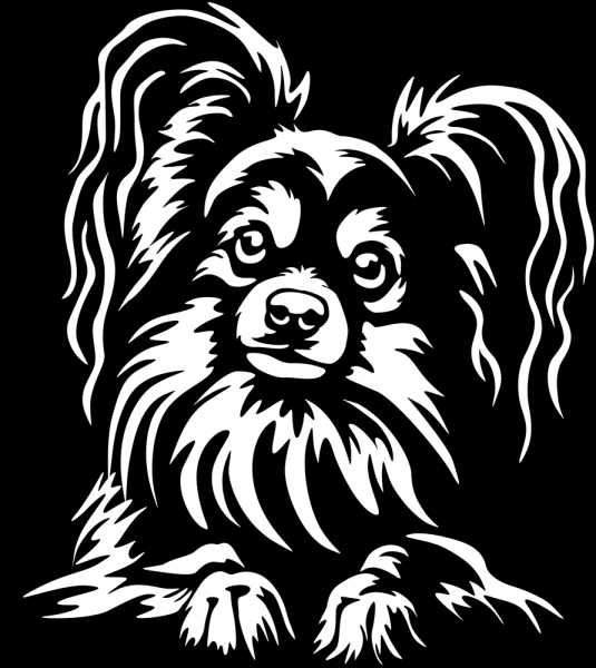 Aufkleber Papillon Kopf