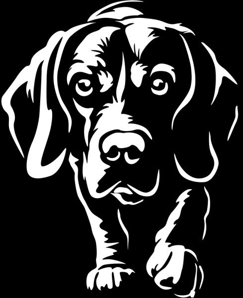 Aufkleber Beagle