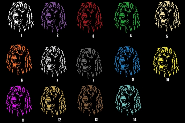 Autoaufkleber "Irish Water Spaniel" Kopf