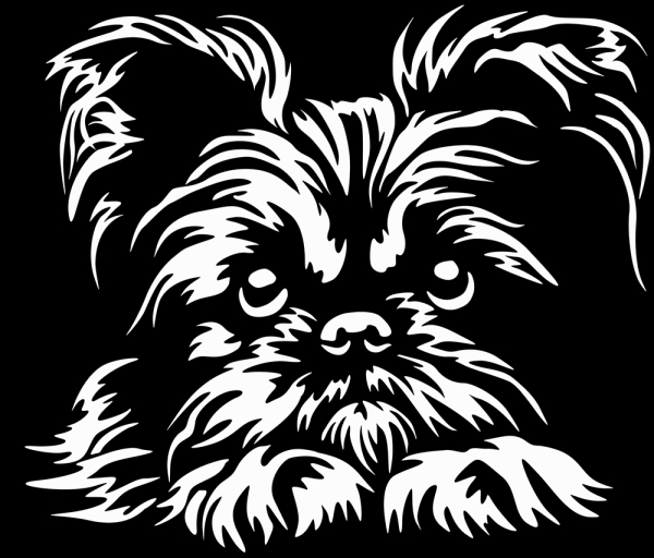 Aufkleber Brüsseler Griffon Kopf