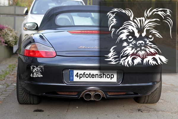 Autoaufkleber "Brüsseler Griffon" Kopf